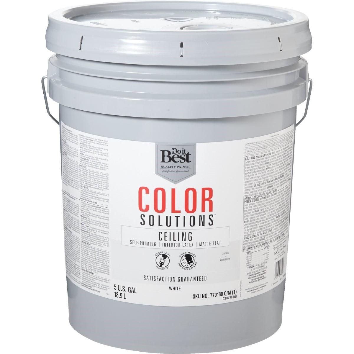 Color Solutions Latex Self-Priming Flat Ceiling Paint, White, 5 Gal.