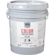 Color Solutions Latex Self-Priming Flat Ceiling Paint, White, 5 Gal.