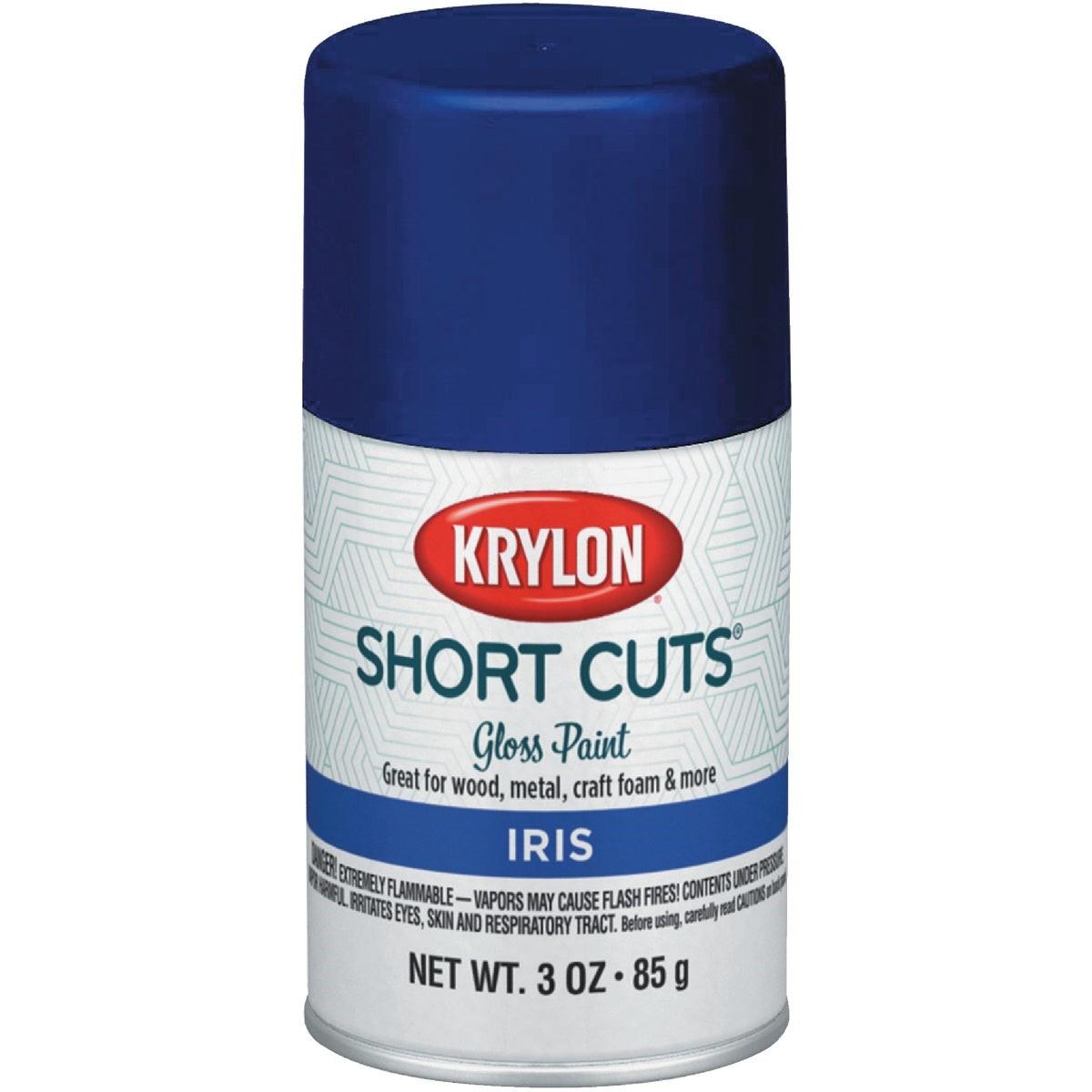 Krylon Short Cuts 3 Oz. High-Gloss Enamel Spray Paint, Iris