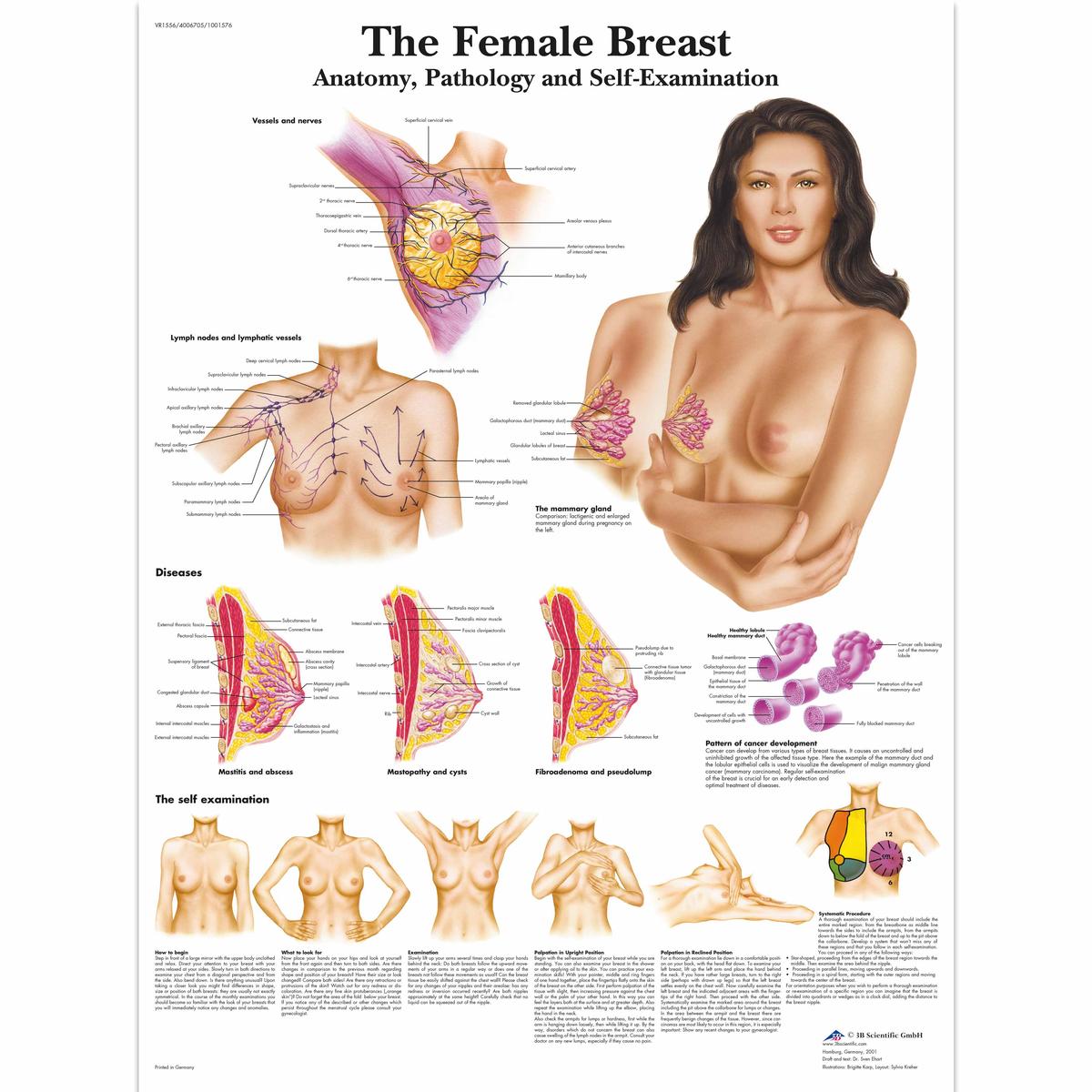 Wearable Breast Self Examination Model W/Case, Light Skin