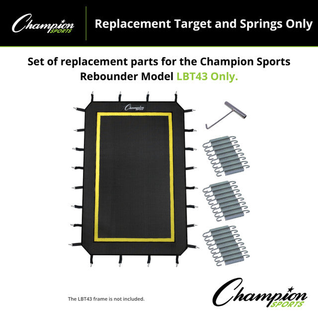 Replacement Target and Springs
