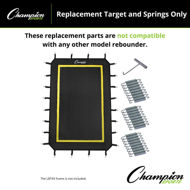 Replacement Target and Springs