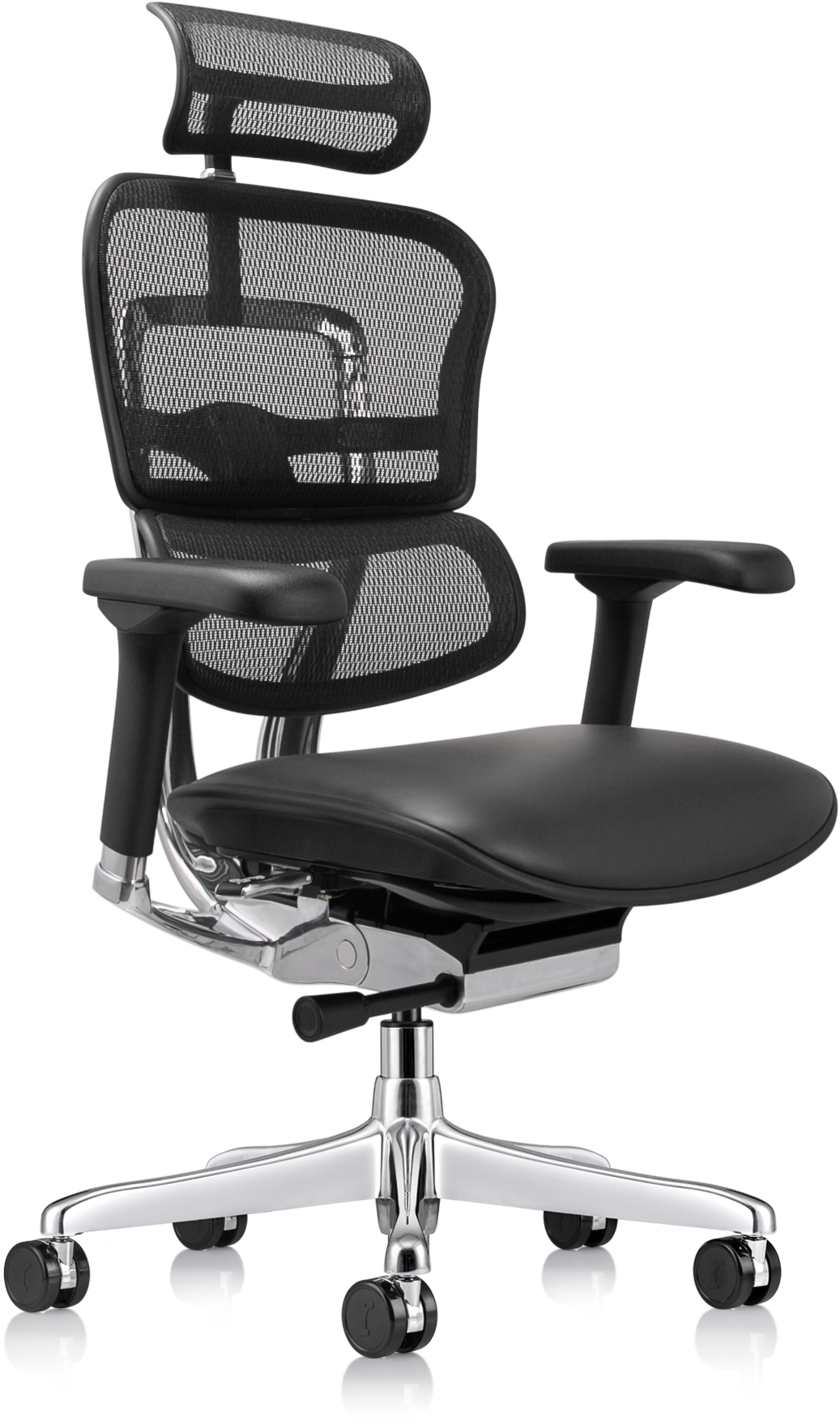 Ergohuman High Leather Seat & Mesh Back Gen 2