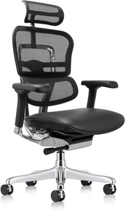 Ergohuman High Leather Seat & Mesh Back Gen 2