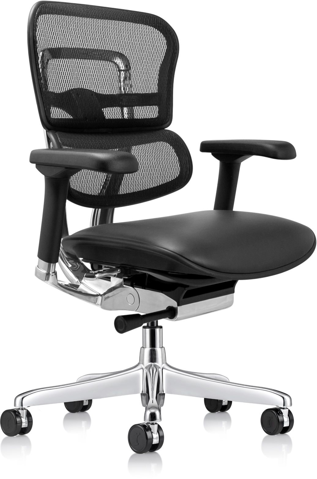Ergohuman Leather Seat & Mesh Back/Gen2