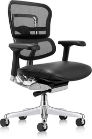 Ergohuman Leather Seat & Mesh Back/Gen2