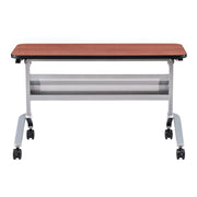 Flip-N-Go 18X48 Tmd Slv/Lcrm/B