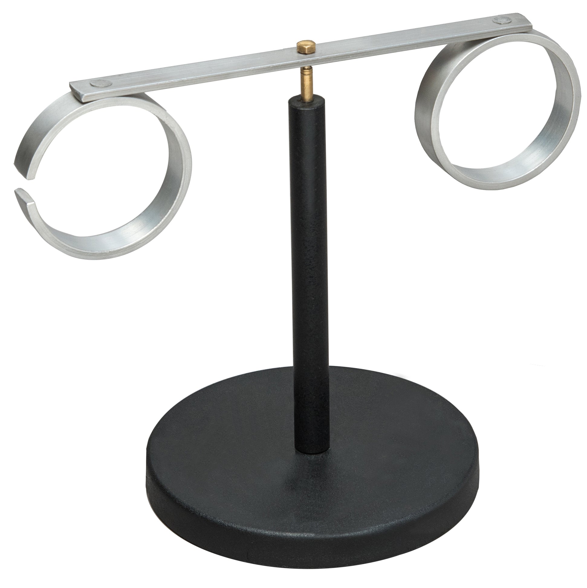 Lenz Law Demonstration