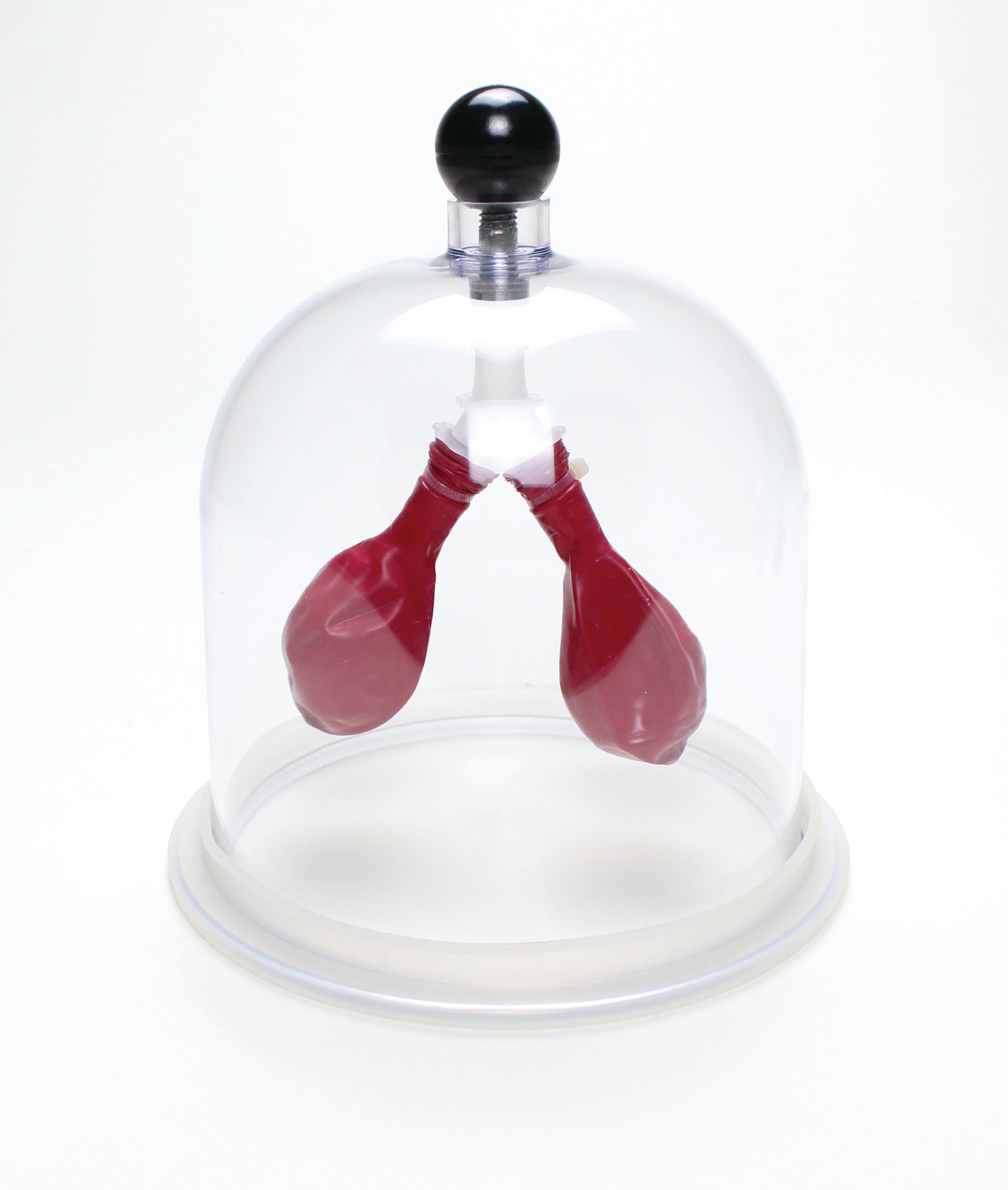 United Scientific® Lung Apparatus