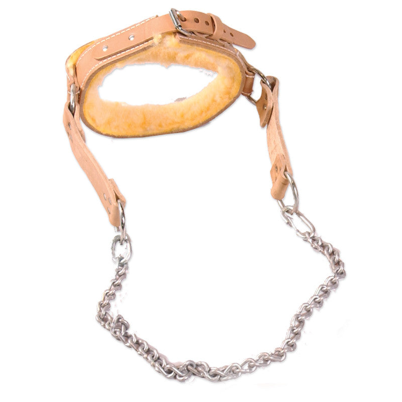 CAP High Quality Leather Head Harness