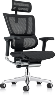 Ergohuman Xtreme: Single-Mechanism Adaptive Office Chair - Black Mesh