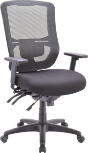 Apollo II Multi/Function High Back(With Adjustable Lumbar Pad) Office Hair - Black