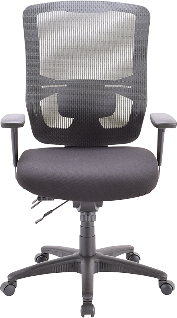 Apollo II Multi/Function High Back(With Adjustable Lumbar Pad) Office Hair - Black