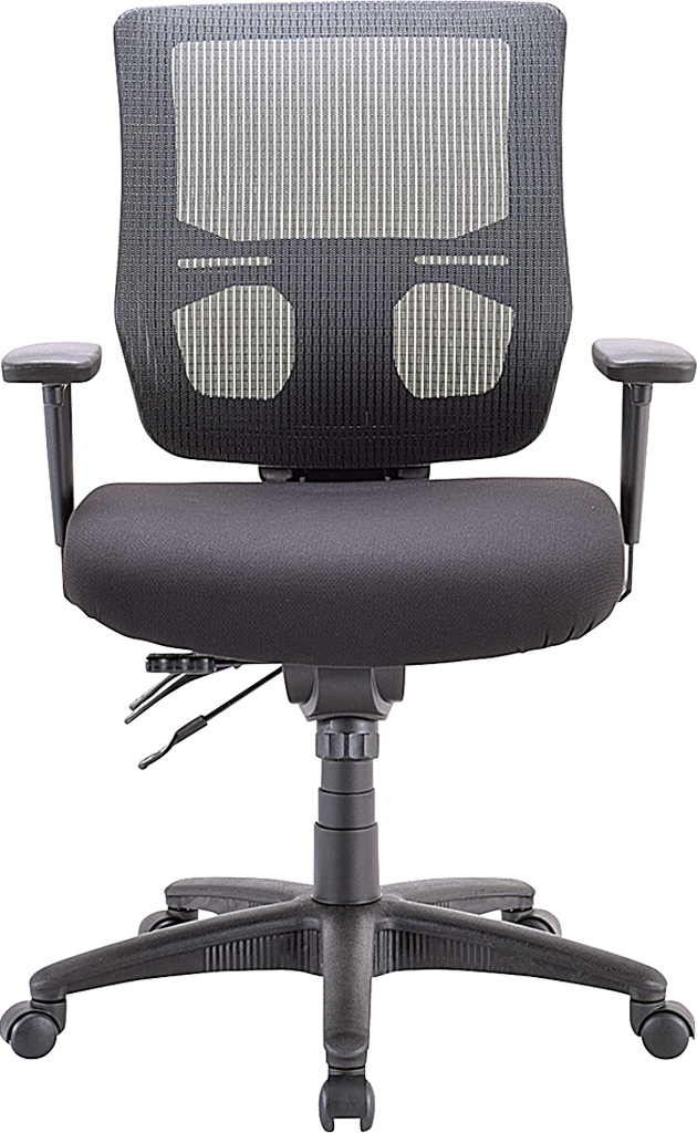 Apollo II Multi/Function Mid Back(With Adjustable Lumbar Pad) Office Chair - Black