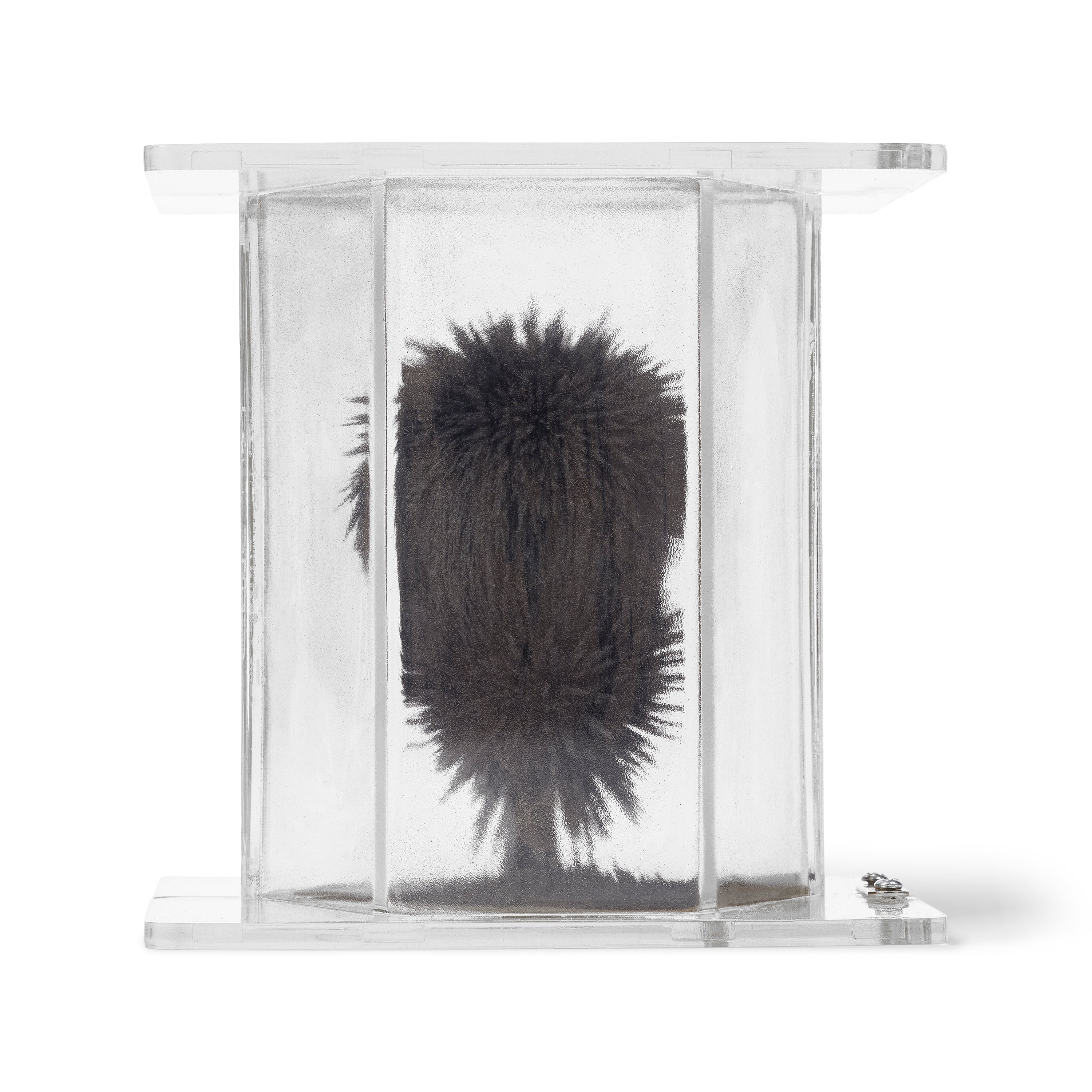 United Scientific® 3D Magnetic Field Demonstrator