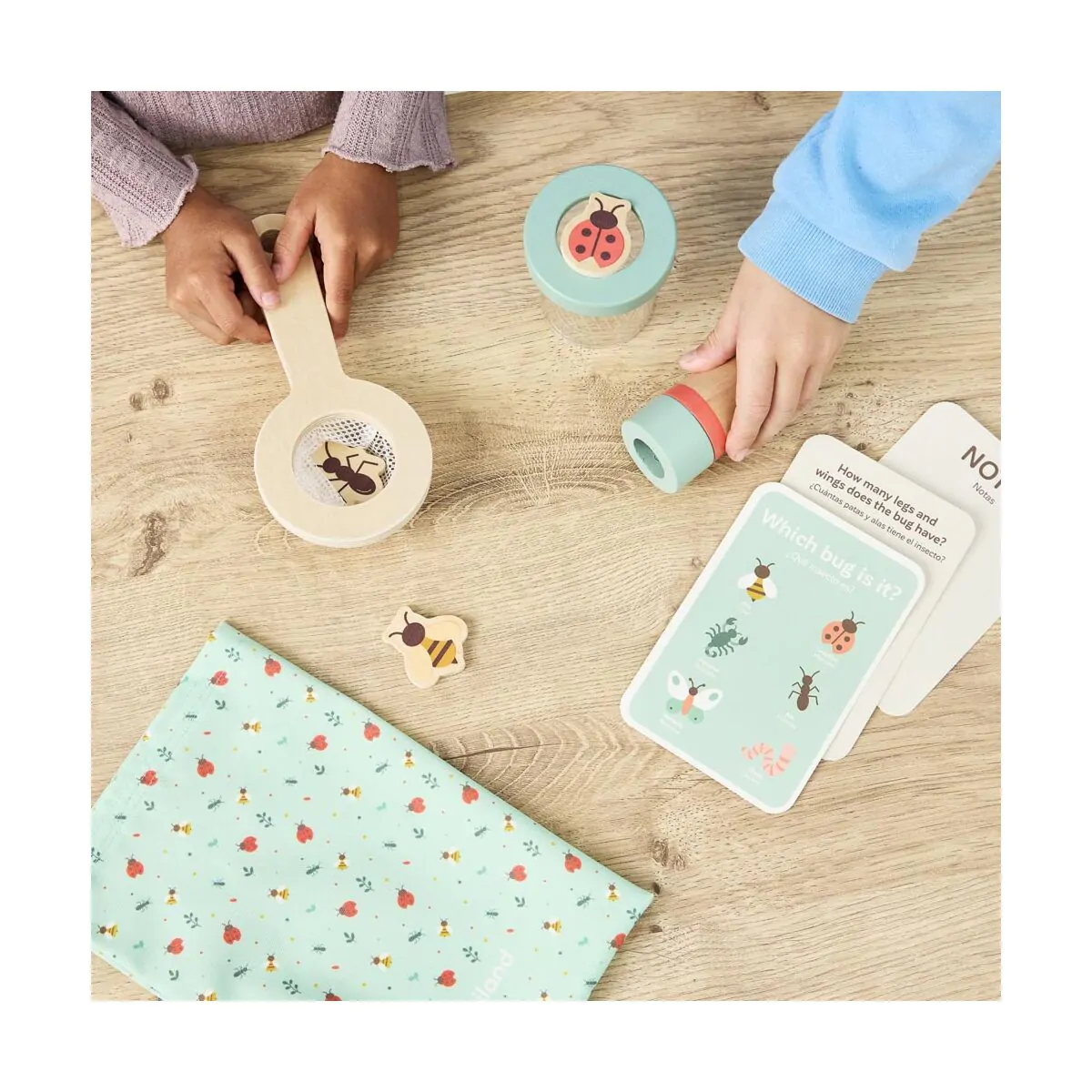 Insects Kit