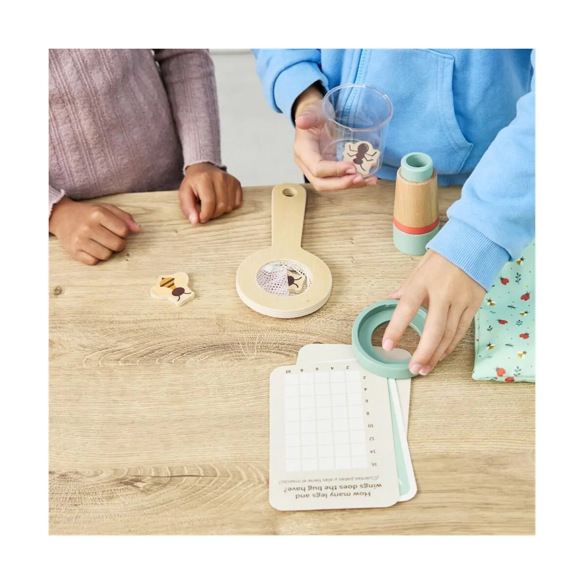 Insects Kit