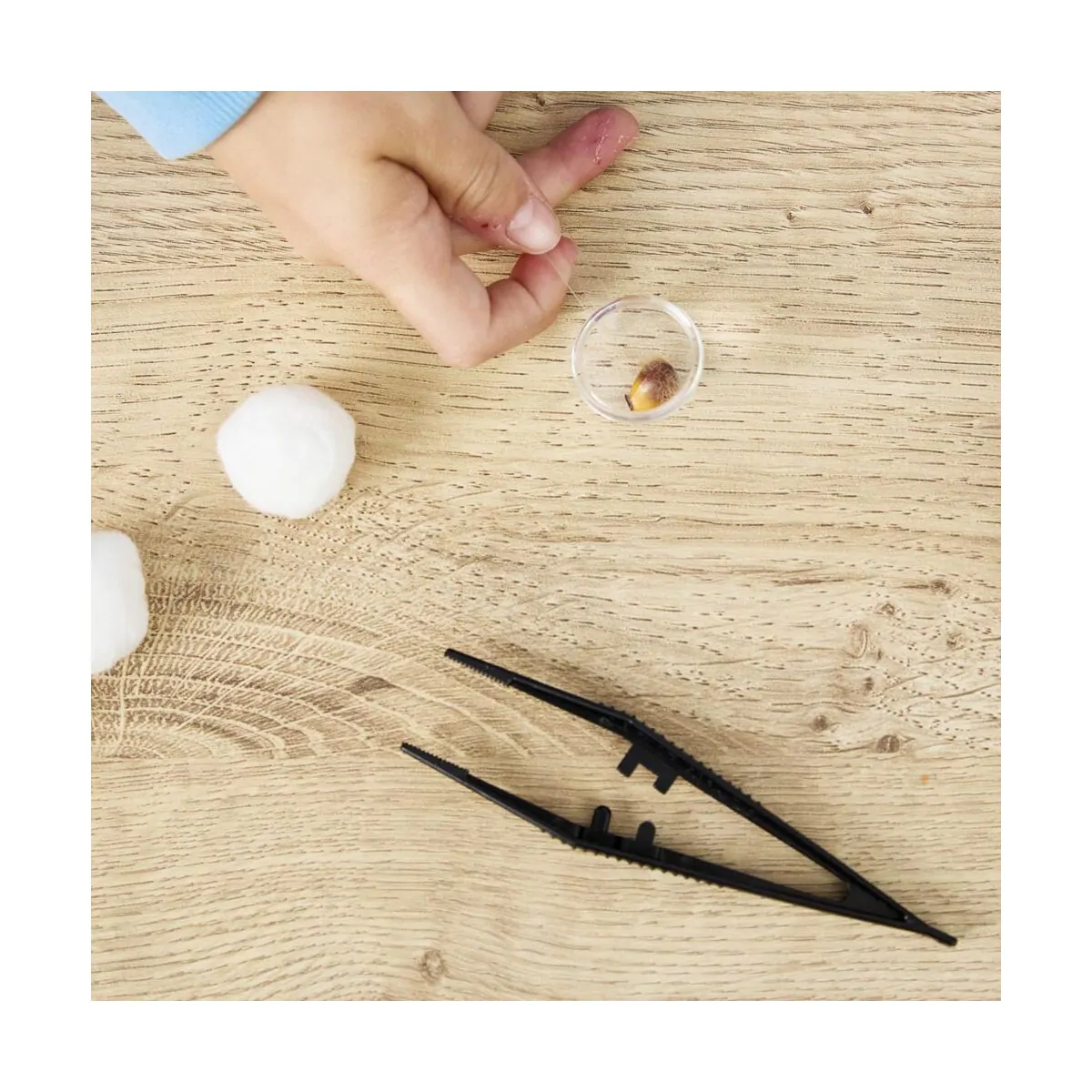 Genius Lab: Nature Explorers