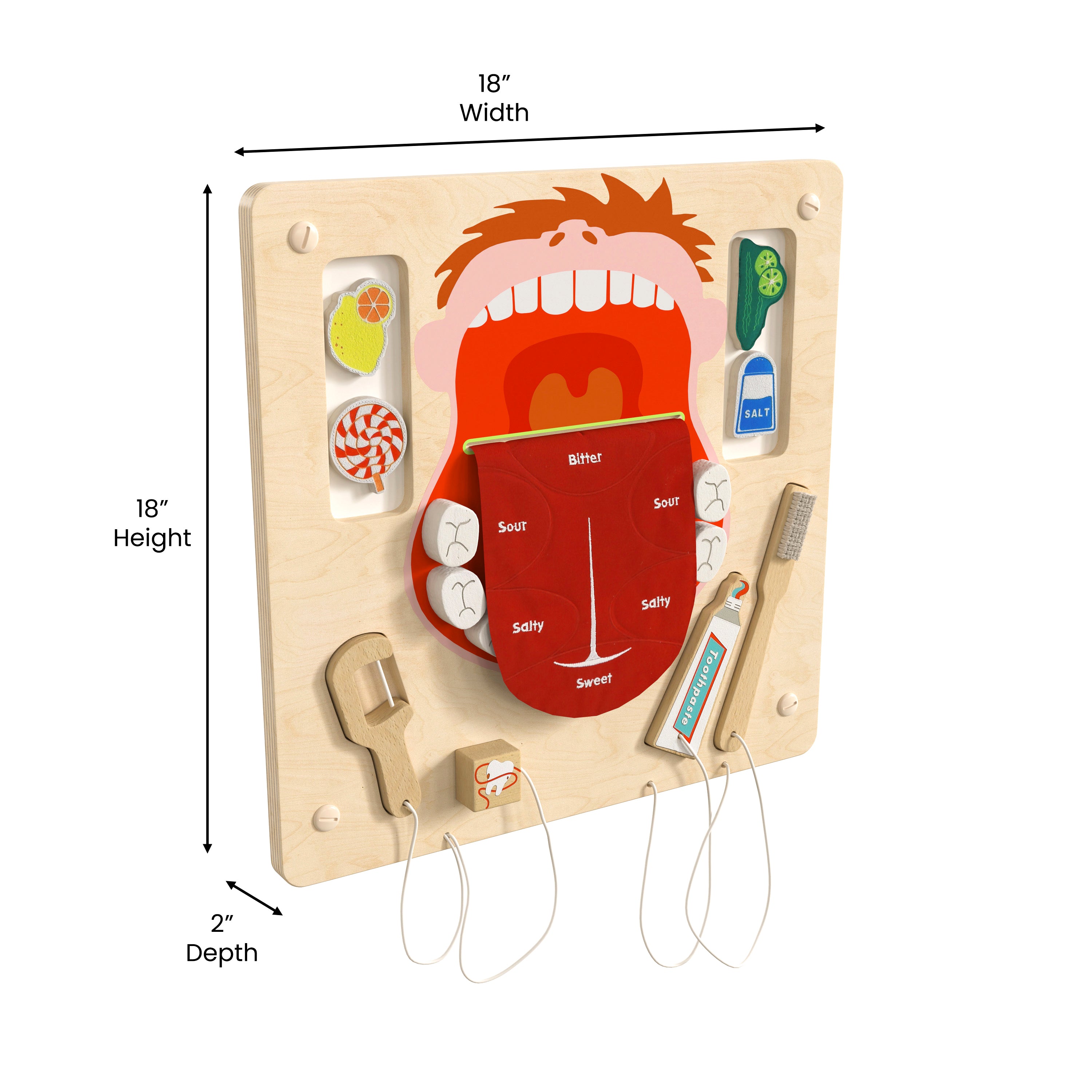 Bright Beginnings Commercial Grade STEAM Wall Activity Board with Natural Finish and Multicolor Accents, Dental Hygiene