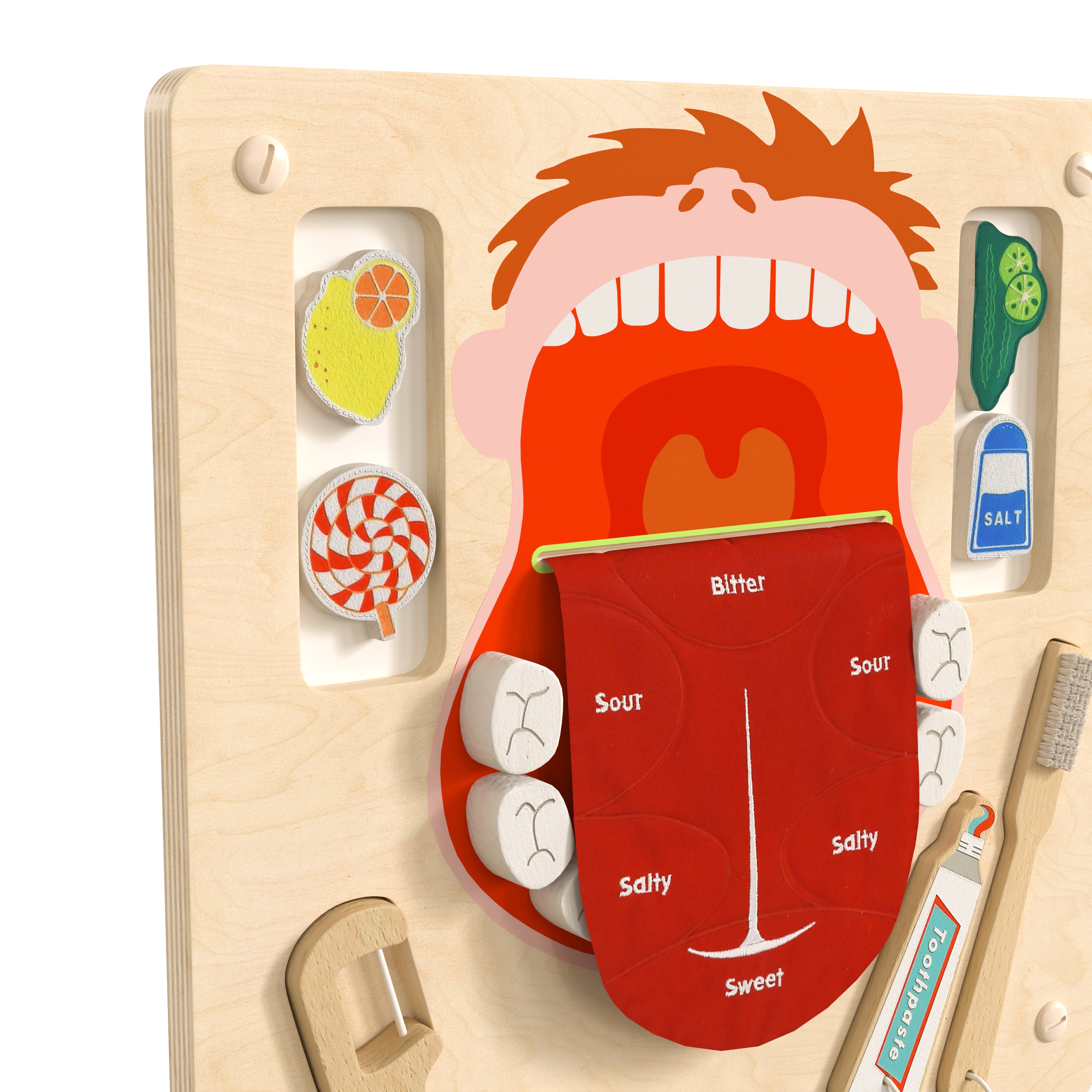 Bright Beginnings Commercial Grade STEAM Wall Activity Board with Natural Finish and Multicolor Accents, Dental Hygiene