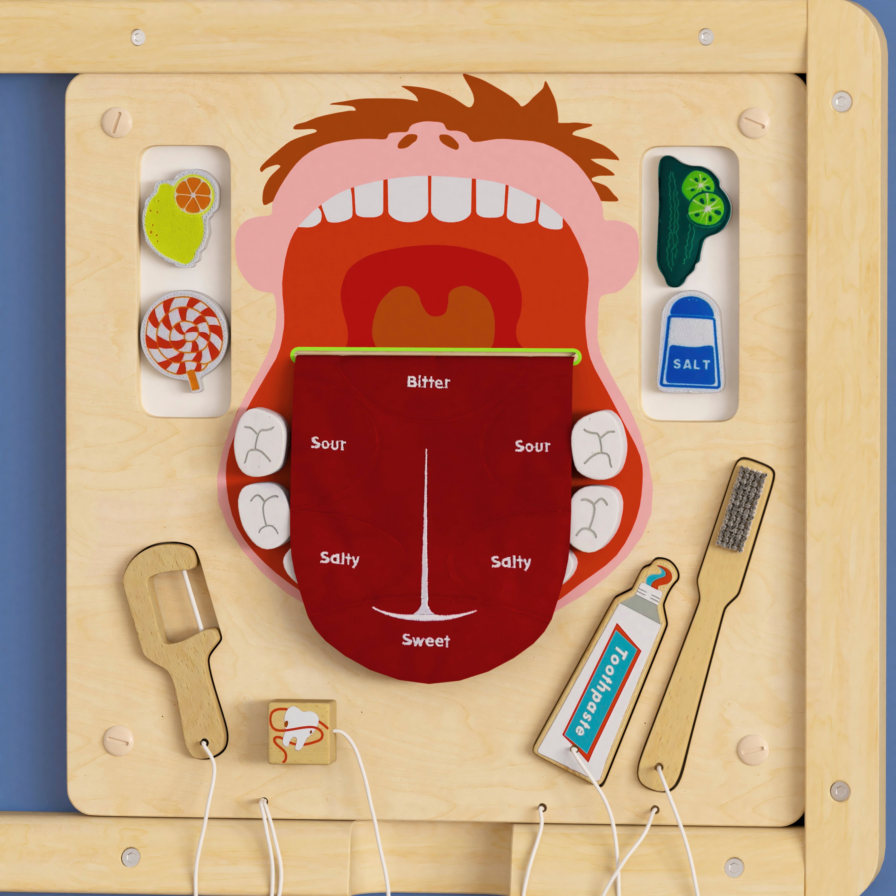 Bright Beginnings Commercial Grade STEAM Wall Activity Board with Natural Finish and Multicolor Accents, Dental Hygiene