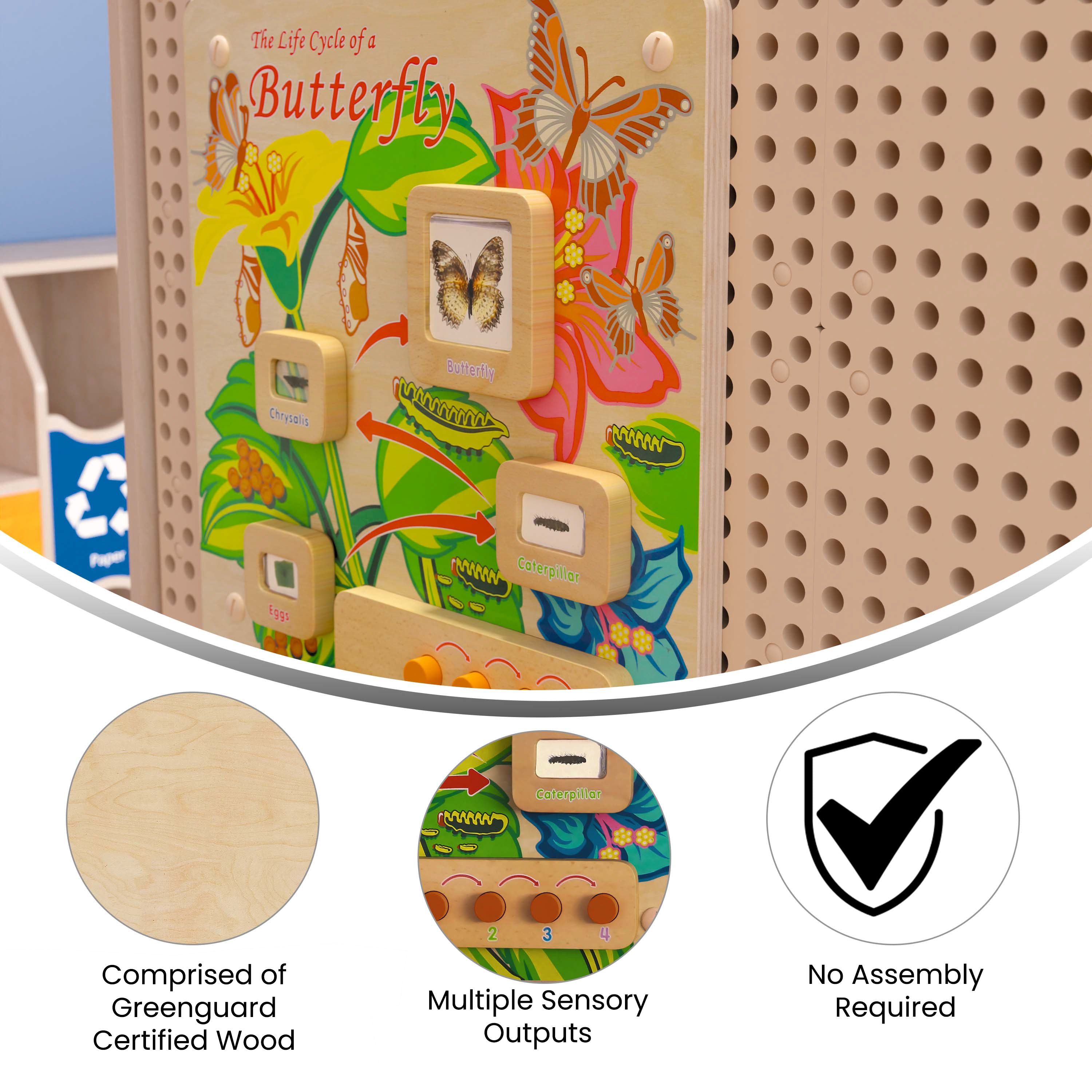 Bright Beginnings Commercial Grade STEAM Wall Activity Board with Natural Finish and Multicolor Accents, Butterfly Life Cycle
