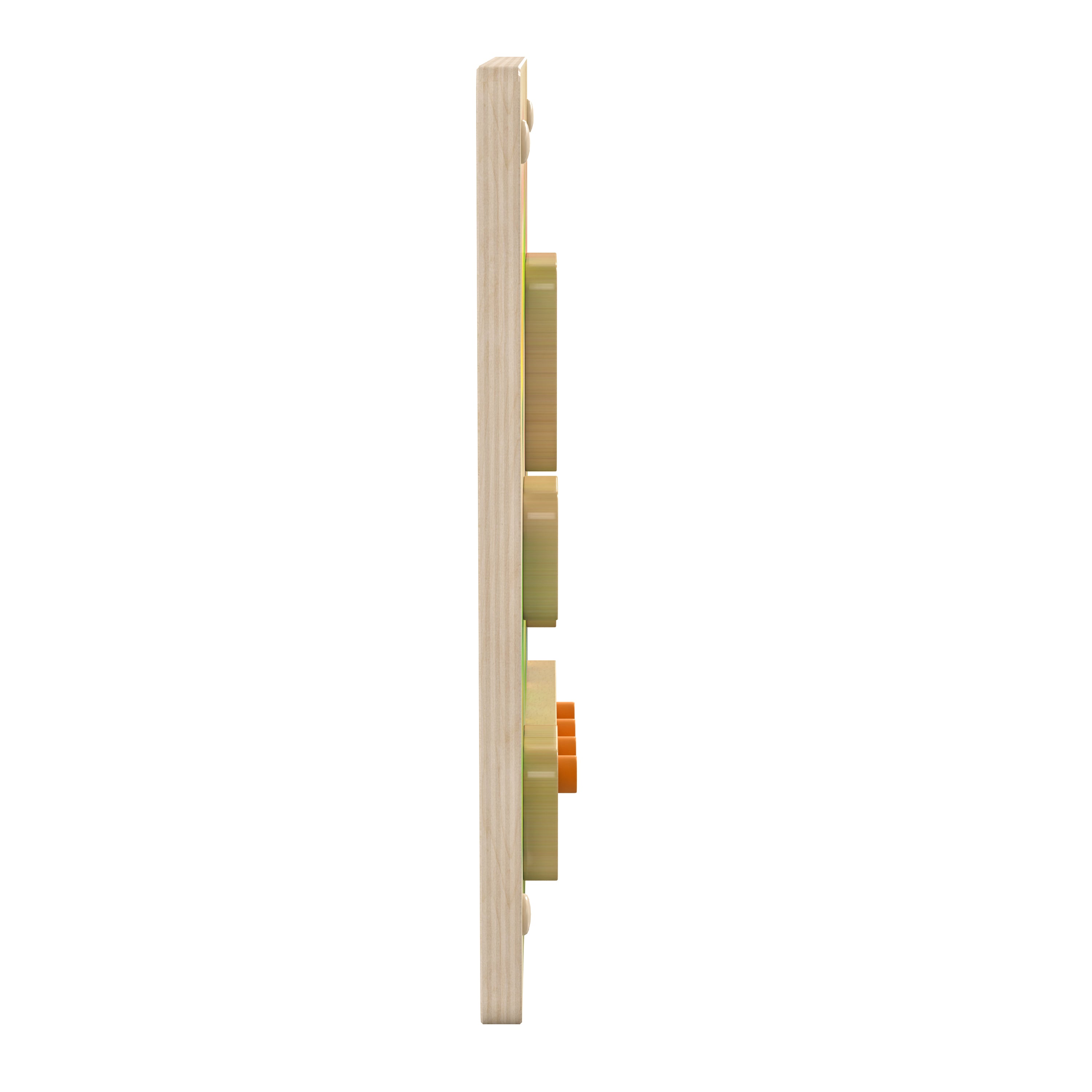 Bright Beginnings Commercial Grade STEAM Wall Activity Board with Natural Finish and Multicolor Accents, Butterfly Life Cycle