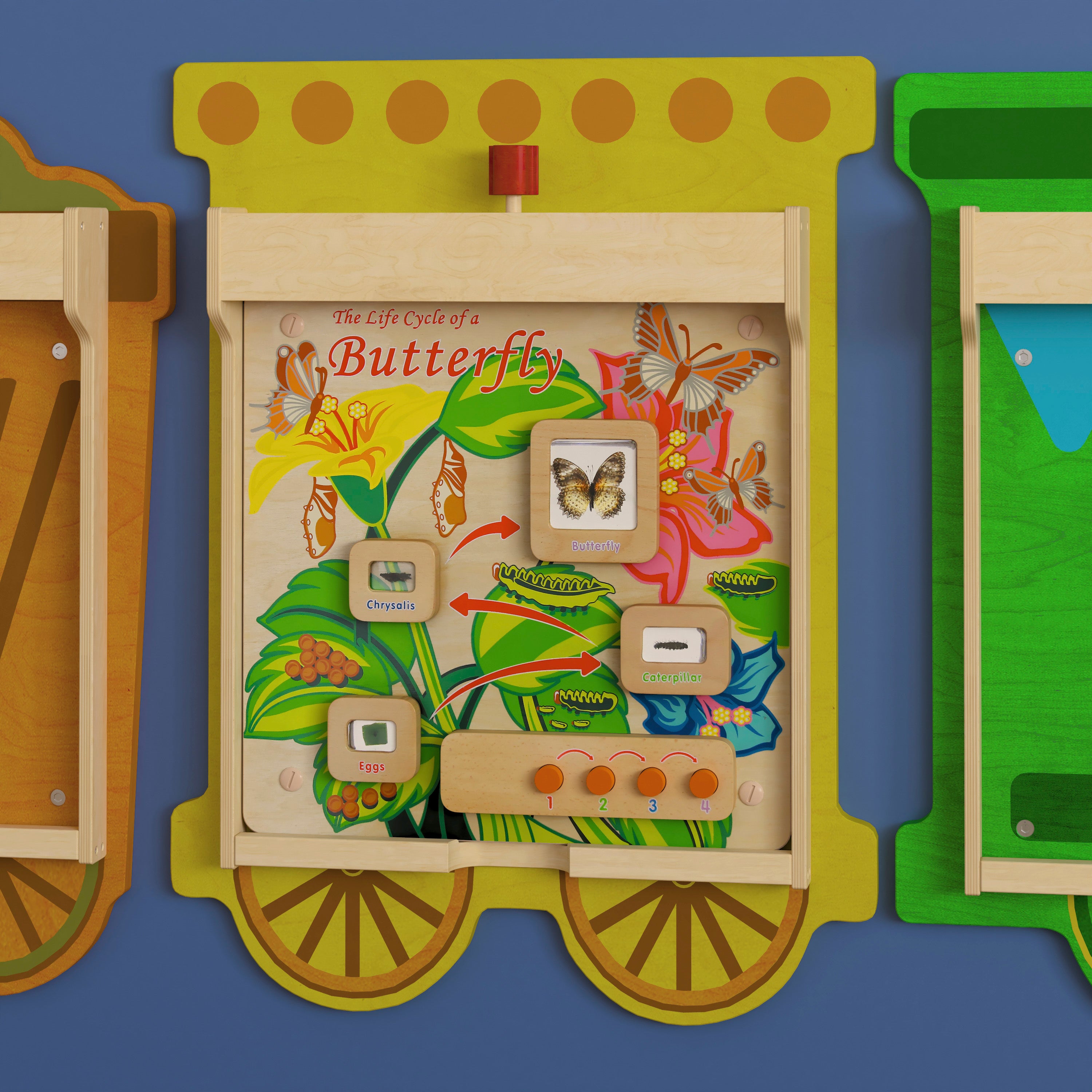 Bright Beginnings Commercial Grade STEAM Wall Activity Board with Natural Finish and Multicolor Accents, Butterfly Life Cycle