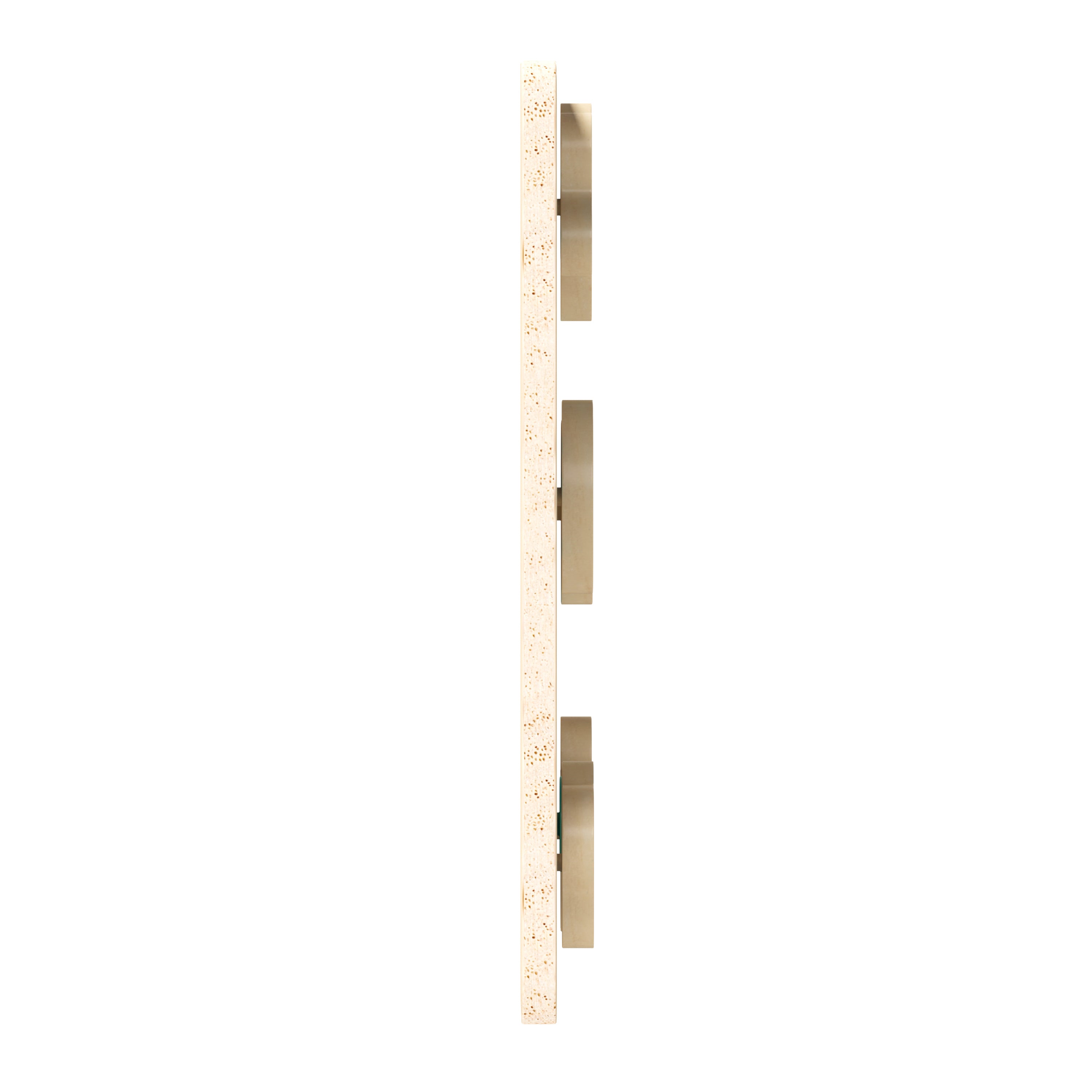 Bright Beginnings Commercial Grade STEM Insect Sliding Maze Learning Board, Natural/Multicolor