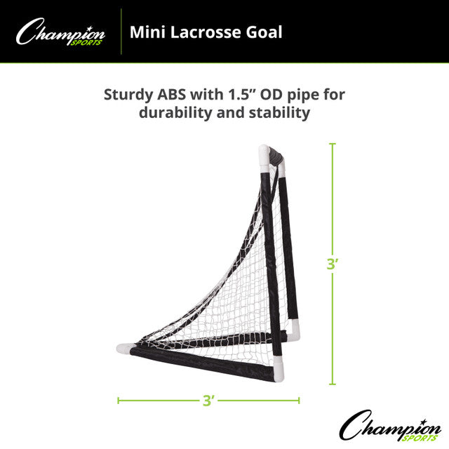 Mini Lacrosse Goal