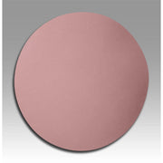 Disc, 656WY, 6 Inch Dia, Diamond, 1/CS