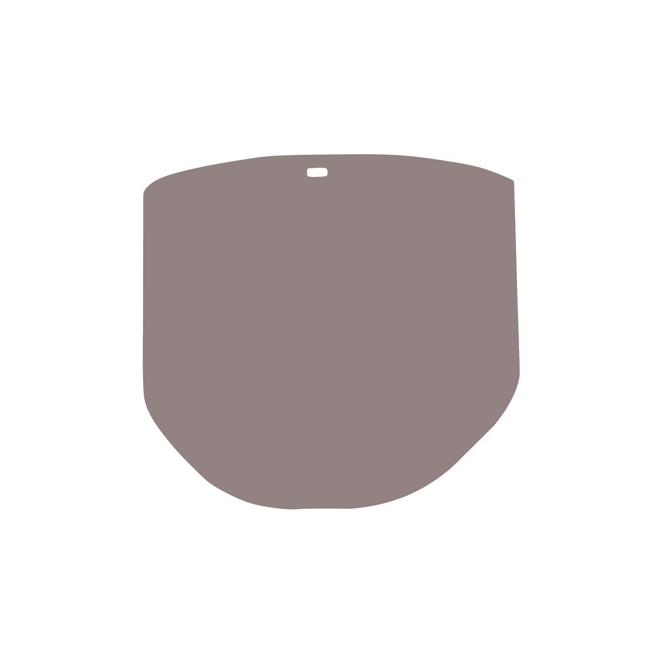 3M(TM) Total Performance Gold-coated Polycarbonate Clear Faceshield Window WCP96G, Face Protection 82602-00000  10 ea/cs