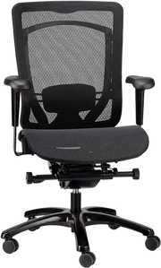Apollo Ii Multi/Function High Back(With Adjustable Lumbar Pad) - Black