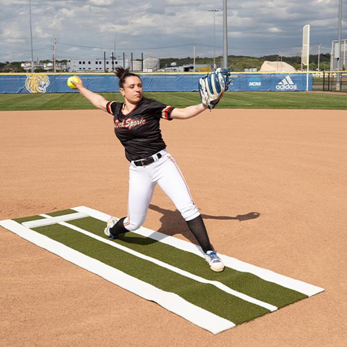 ProMounds Jennie Fine Pitching Lane Pro