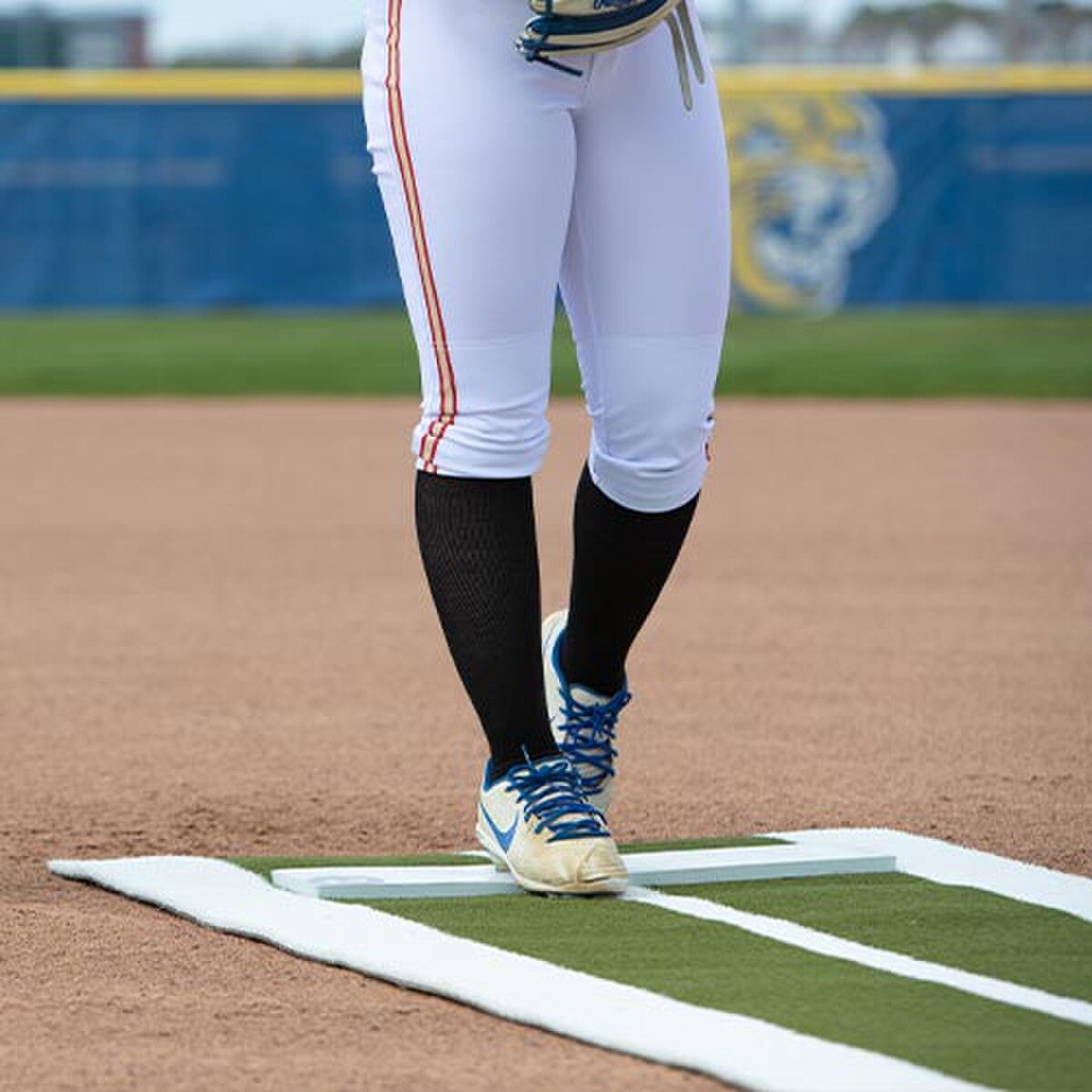 ProMounds Jennie Fine Pitching Lane Pro
