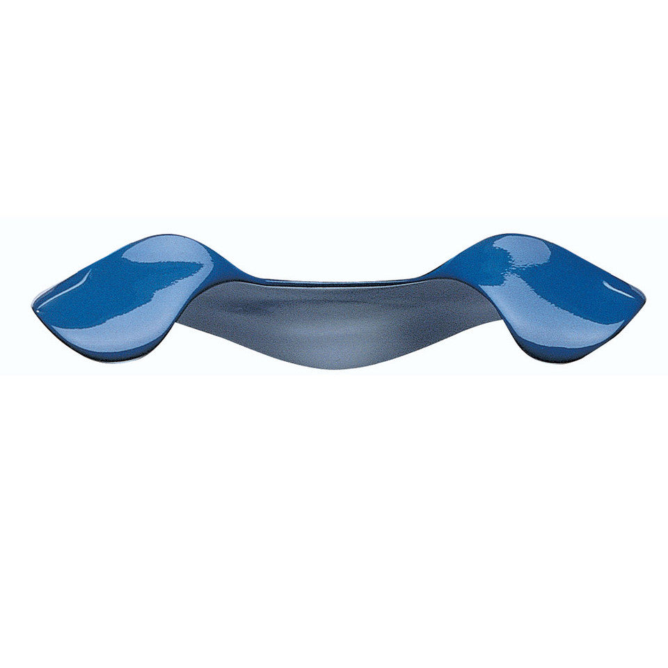 Manta Ray