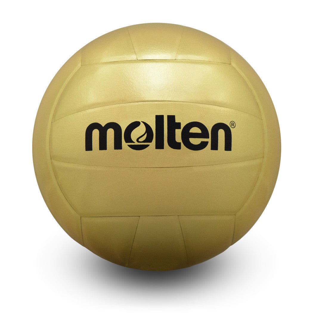 Novelty Volleyball, Glossy Gold Panel Award Ball, Official Size 5