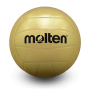 Novelty Volleyball, Glossy Gold Panel Award Ball, Official Size 5
