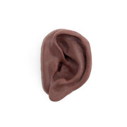 Acupuncture Ear, left, Dark
