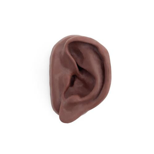 Acupuncture Ear, left, Dark