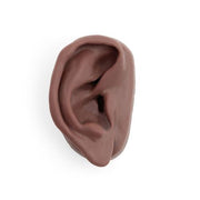 Acupuncture Ear, right, Dark