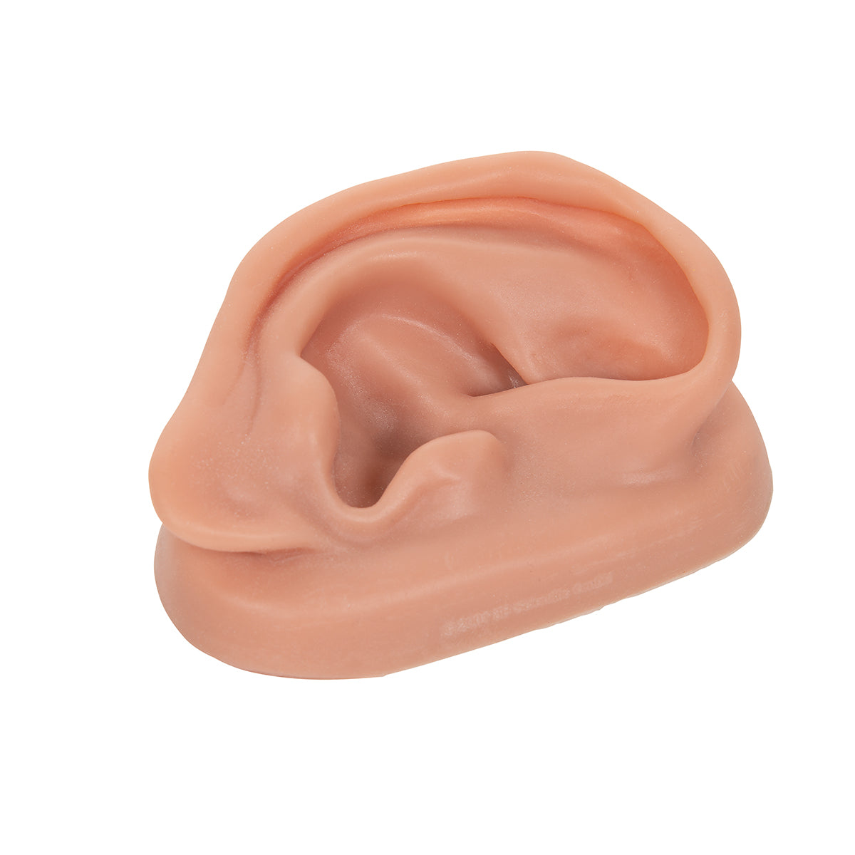 Acupuncture Ear, right