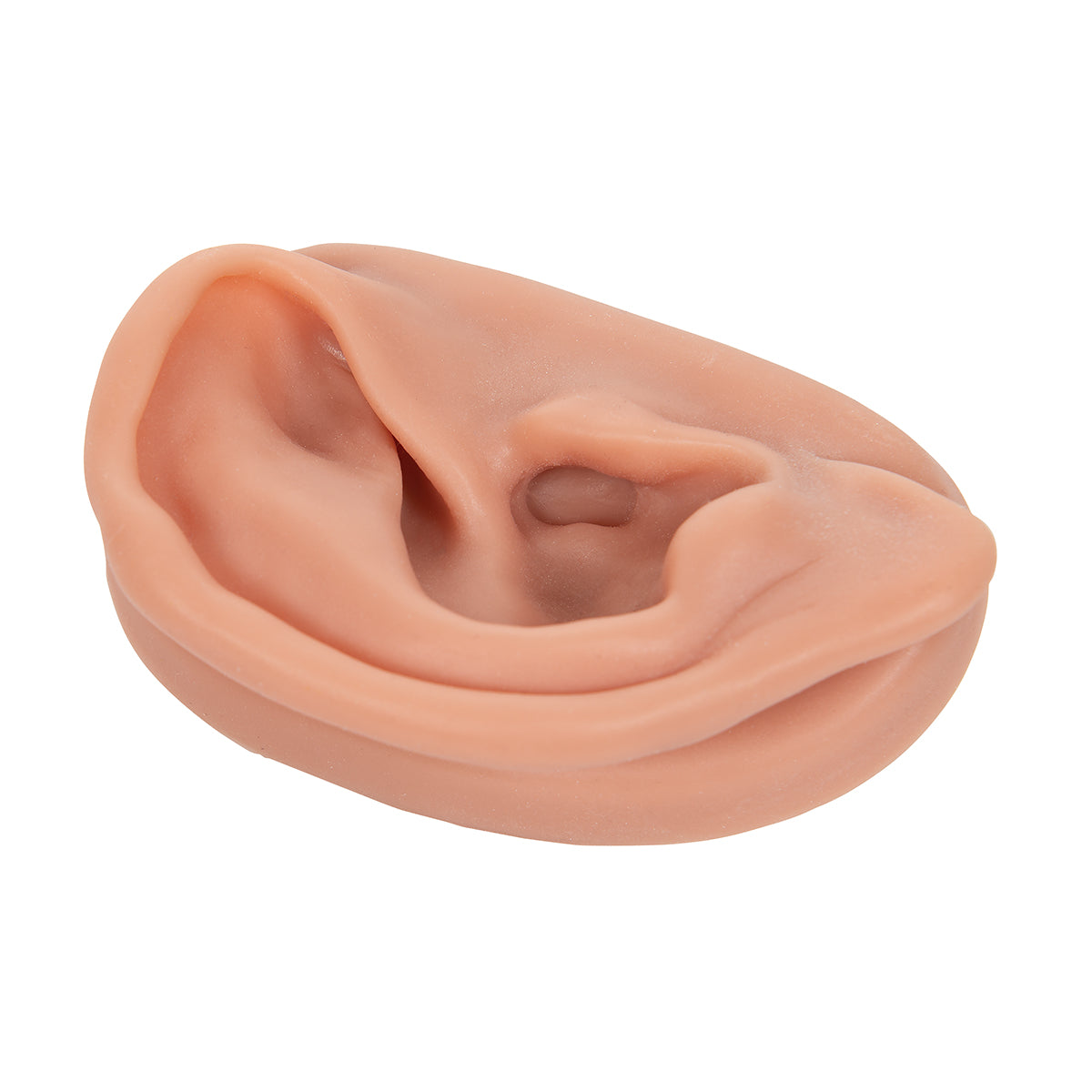 Acupuncture Ear, right