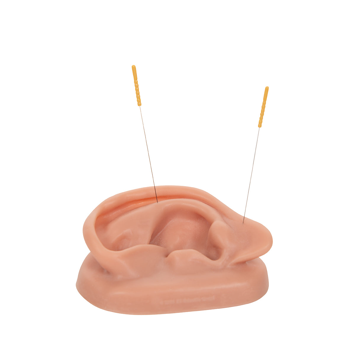 Acupuncture Ear, right