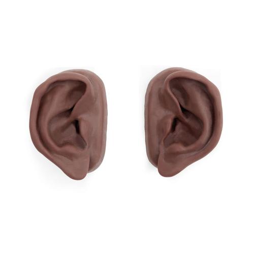 Acupuncture Ears, Set for 10 Students, Dark