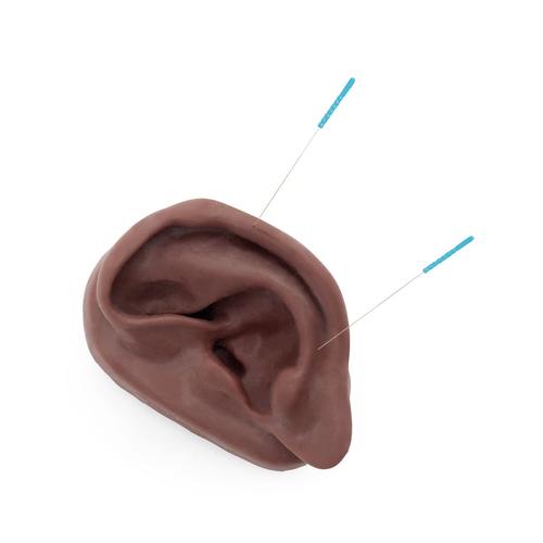 Acupuncture Ears, Set for 10 Students, Dark