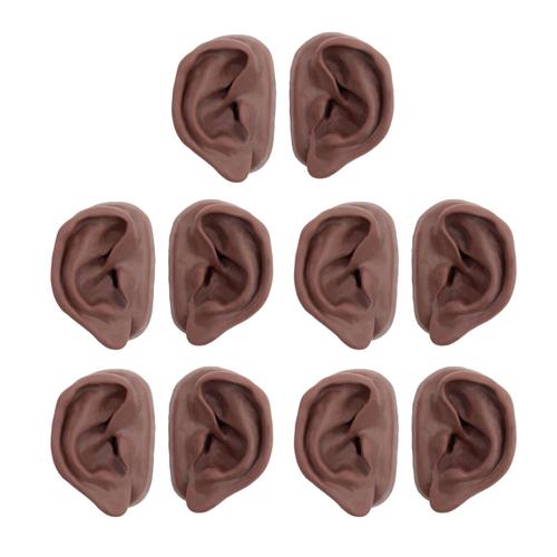 Acupuncture Ears, Set for 10 Students, Dark