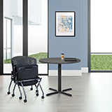 Soft-Flex Frame™ Folding/Nesting - Coal