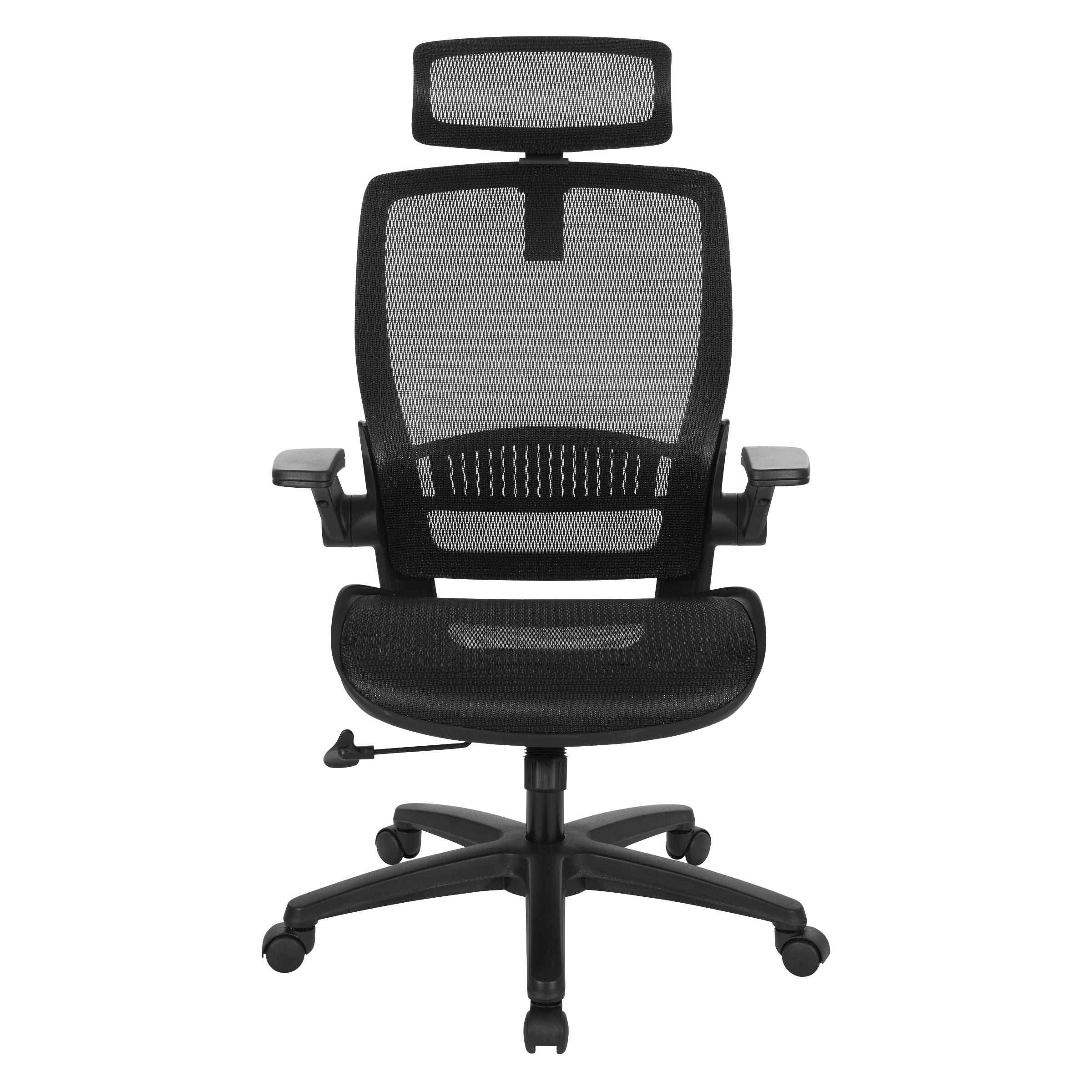 Mesh Back Manager's Chair/Headrest - Black