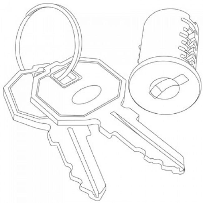 Lock Core With Keys (Compatible with Napa, Kenwood, Sonoma, Lodi ) - Metallic
